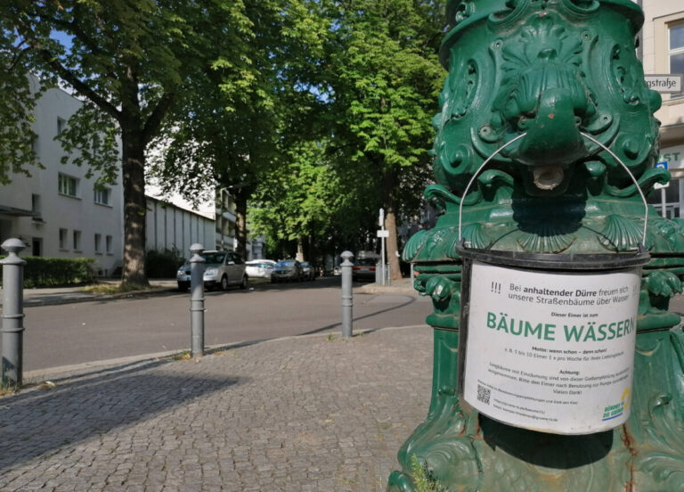 Kranke Bäume