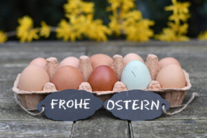 Osterzeit ist Eierzeit. Nachhaltig erzeugte Eier sind gefragter denn je. Bild: IMAGO/blickwinkel
