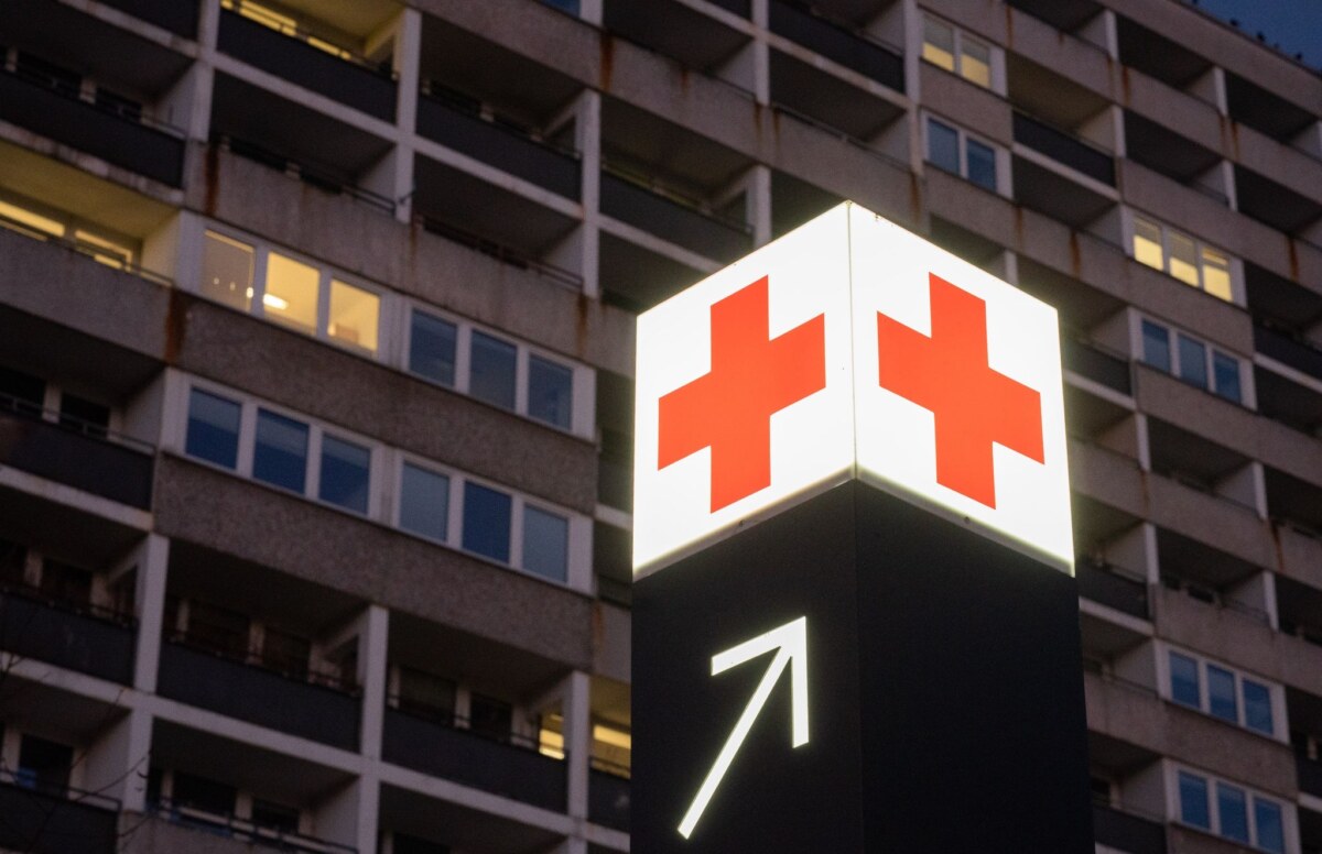 Nach einem Ausweichmanöver wegen eines freilaufenden Hundes musste eine 65-Jährige schwer verletzt ins Krankenhaus. Foto: Julian Stratenschulte/dpa/Symbolbild