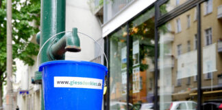 Die Natur leidet unter der Trockenheit, das Wasser wird knapp. Bild: IMAGO / Sabine Gudath (Symbolbild)