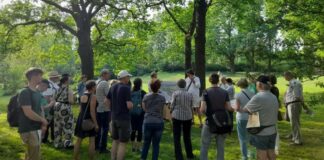 Im Mai lud Bezirksstadträtin Saskia Ellenbeck (Grüne) zu einem Spaziergang in den Volkspark Mariendorf ein. Dabei lernten interessierten Bürger die Planungsansätze zur Sanierung der Parkteile kennen. Bild: BA Tempelhof-Schöneberg