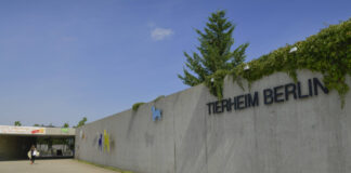 Tierheim