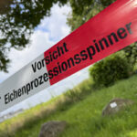Schädlinge in den schönen Wäldern Treptow-Köpenicks können gefährlich werden. Bild: IMAGO / Political-Moments