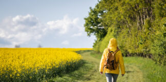 Schrittweise zu mehr Gesundheit, ab und an mal spazieren macht's möglich. Foto: iStock / Getty Images Plus / Zbynek Pospisil