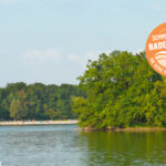 Nymphensee