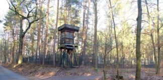 Der Sprengplatz im Grunewald