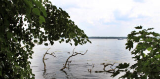 Blick auf den Müggelsee