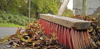 Herbstzeit ist auch immer Laubzeit. Doch wohin damit eigentlich? Foto: IMAGO / blickwinkel