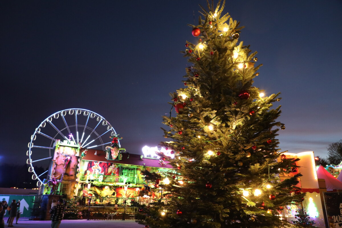 Berliner Weihnachtsmärkte trotzen der Energiekrise