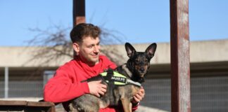 Tierheim-Mitarbeiter mit süßem Hund.