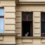 Milieuschutzgebiete sollen verhindern, dass gewachsene Nachbarschaften zerstört werden. Bild: IMAGO/Seeliger