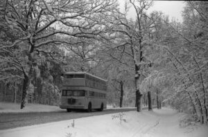 BVG Bus