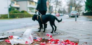 abgebrannte Böller und ein Hund, mit dem Gassi gegangen wird