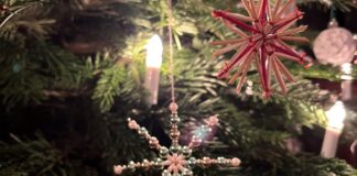 Lichterglanz und Tannenduft. Der Weihnachtsbaum hat ausgedient. Bild: Sara Klinke