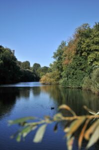 Im kommenden Sommer soll der Fennsee wie einst wieder klares Wasser haben. Archiv-Foto: IMAGO / Schöning