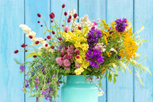 Leuchtende Farbenpracht. Bild: iStock/Getty Images Plus/IRINA KROLEVETC 