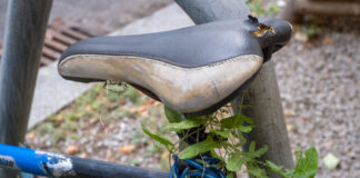 Ein altes Fahrrad wird mittlerweile von Unkraut überwuchert. Foto: IMAGO / Seeliger