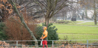 Für den ANbau der Hans-Grade-Schule müssen Bäume gefällt werden. Bild: IMAGO / Bernd Elmenthaler