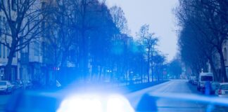 Ein Blaulicht leuchtet auf dem Dach eines Streifenwagens der Polizei.