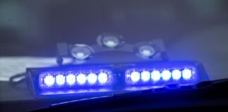 Ein Blaulicht leuchtet unter der Frontscheibe eines Einsatzfahrzeugs der Polizei.