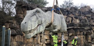 Die Dinos können ab Anfang April im Berliner Tierpark bestaunt werden. Bild: Tierpark Berlin