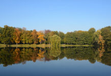 Herbstlicher Laubwald im Volkspark Jungfernheide, davor Wasserfläche, in der sich Bäume spiegeln. Darüber blauer Himmel.