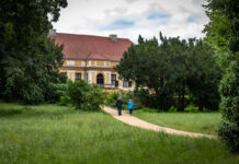 Zwischen Bäumen und hinter einer Wiese schaut ein gelb-weißes Schloss mit rotem Ziegeldach hervor: Schloss Caputh