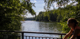 Krumme Lanke in Steglitz-Zehlendorf: Nicht nur hier setzen die zunehmenden Hitzephasen den Bäumen zu. Bild: IMAGO/Christian Ender