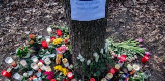 Blumen und Kerzen haben Unbekannte an einem Baum im Bürgerpark Pankow abgelegt.
