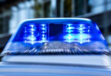 Ein Blaulicht leuchtet auf dem Dach eines Polizeiwagens.
