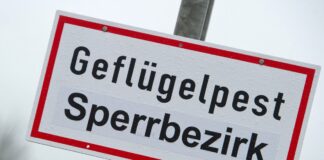 Ein Schild mit der Aufschrift «Geflügelpest Sperrbezirk».