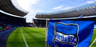 Die Eckfahne mit dem Hertha-Logo.