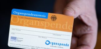 Eine Frau hält einen Organspendeausweis in der Hand.