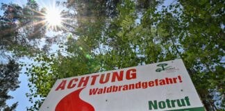 Ein Schild vom Landesbetrieb Forst Brandenburg mit der Aufschrift «Achtung Waldbrandgefahr! Notruf 112» steht vor Bäumen.