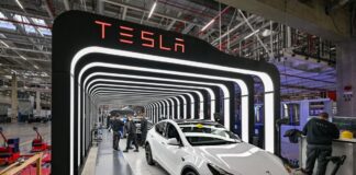 Mitarbeiter der Tesla Gigafactory Berlin Brandenburg arbeiten an der Endkontrolle der fertigen Elektrofahrzeuge vom Typ Model Y.