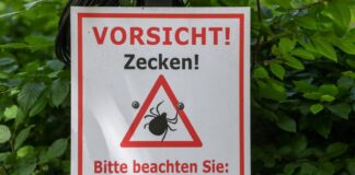 «Vorsicht! Zecken!» steht auf einem Warnschild im Biosphärenreservat Schorfheide-Chorin.