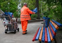 Die Berliner Stadtreinigung ist inzwischen für mehr als 100 Parks und 135 Spielplätze dafür zuständig, für Sauberkeit zu sorgen.