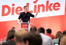 Brandenburgs Linke-Chef Sebastian Walter fordert eine Neuaufstellung der Linken im Bund.