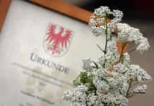 Der Titel «Wildpflanze des Jahres» wurde in Brandenburg erstmals verliehen.