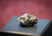 Die Trümmer des «Ribbeck»-Meteoriten, der im Januar in Brandenburg niederging, rochen intensiv nach faulen Eiern.