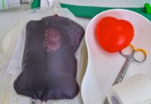 Das Deutsche Rote Kreuz ruft zur Blutspende in der Ferienzeit auf (Archivbild)