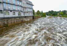 Auch in Brandenburg droht in den kommenden Tagen Hochwasser. Der Wasserstand der Neiße in Guben ist bereits gestiegen. (Foto aktuell)