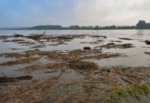 Die erste Hochwasser-Alarmstufe ist für die Oder-Regionen Ratzdorf bis Eisenhüttenstadt ausgerufen worden. Der Wasserstand steigt aber weiter.