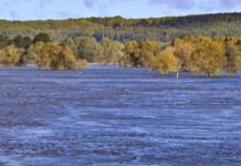 Das Hochwasser an der Oder geht in Brandenburg allmählich zurück (Archivbild).