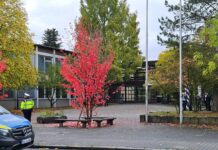 An einer Schule in Döbern ist die Polizei nach dem Fund einer Drohschrift vor Ort. (Symbolbild)