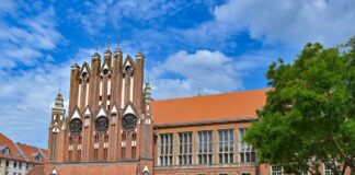 Die Städte und Gemeinden in Brandenburg stehen mit der Neuwahl vor einer Herausforderung (Archivbild).