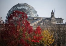 Die Brandenburger Parteien bereiten sich auf die Neuwahl des Bundestages vor (Archivbild).