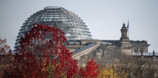 Die Brandenburger Parteien bereiten sich auf die Neuwahl des Bundestages vor (Archivbild).