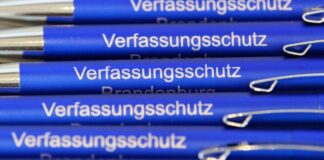 In Brandenburg gilt der AfD-Landesverband bislang als rechtsextremistischer Verdachtsfall. Wird sich das nach einer neuen Bewertung des Verfassungsschutzes ändern? (Archivbild)