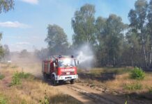 War in diesem Jahr erneut Schauplatz eines Waldbrandes: Der ehemalige Truppenübungsplatz bei Jüterbog. (Archivbild)